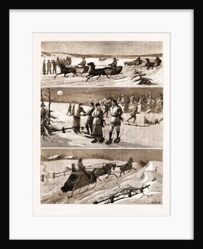 Winter Sports At Halifax, Nova Scotia by Anonymous