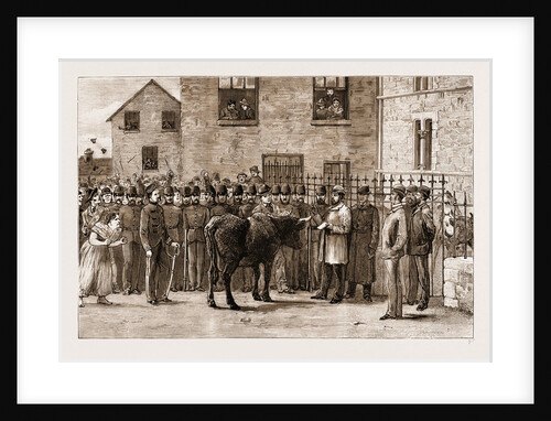The Land Agitation In Ireland, 1881: boy Cotters Boycotted: At Sligo Court-house by Anonymous