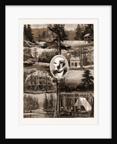 The New Settlement Of Rugby, Tennessee by Anonymous