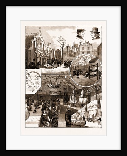 Opening Of The National Fisheries' Exhibition At Norwich, 1881 by Anonymous