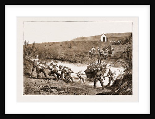 The Revolt In The Transvaal, South Africa by Anonymous