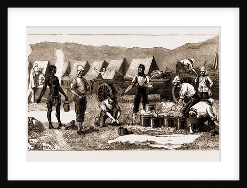 The Revolt In The Transvaal, South Africa by Anonymous