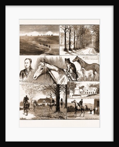 A Day At The Russley Stables, 1881; A Horse And A Cat by Anonymous