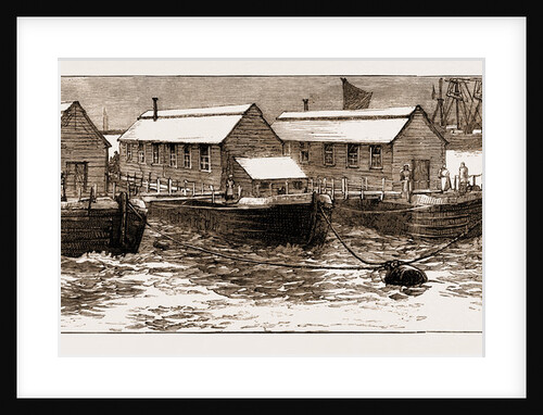 The Small-pox Epidemic: Proposed Floating Hospital On The Thames, UK by Anonymous