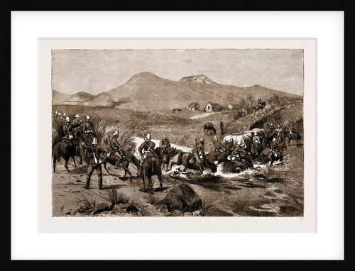 The Revolt In The Transvaal, South Africa by Anonymous