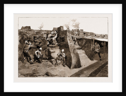 The Revolt In The Transvaal, South Africa by Anonymous