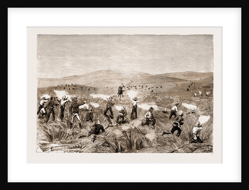 The Revolt In The Transvaal by Anonymous