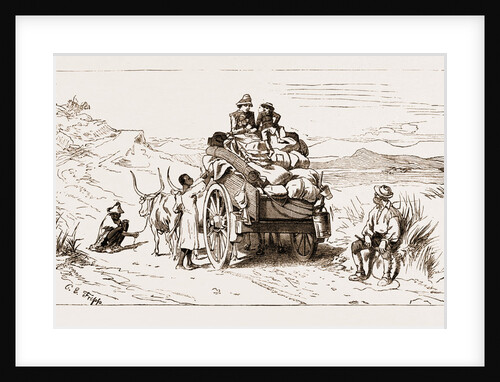 The Revolt In The Transvaal, South Africa by Anonymous