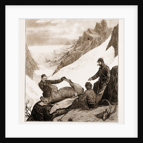 Sport In Kashmir: Skinning A Snow Bear, 1881 by Anonymous