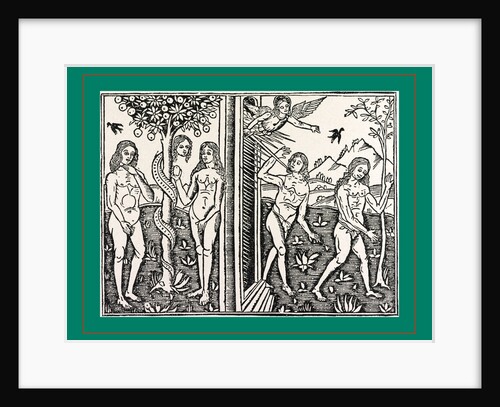 Bergomas, Suppl. chronicarum, 1503 by Anonymous