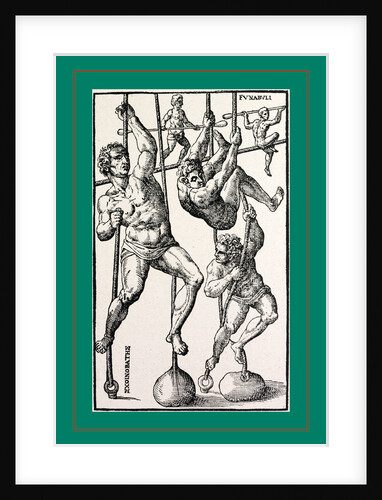 Hieron. Mercurialis. Venezia, Junta, 1573 by Anonymous