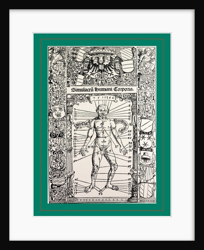 Stoeffler Oppenheim, 1518 by Anonymous