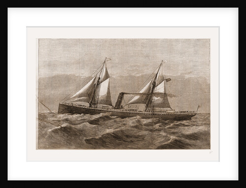 The New Steam-ship Newport, of Ward's Havana Line by Antonio Jacobson