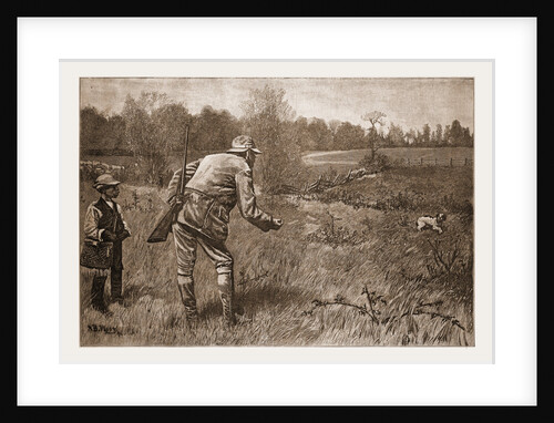 Gun-shy, Drawn By A. B. Frost by Anonymous