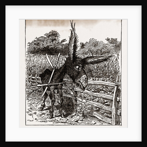 The Hungry Democracy—the Greatest Faster On Record, USA by Anonymous