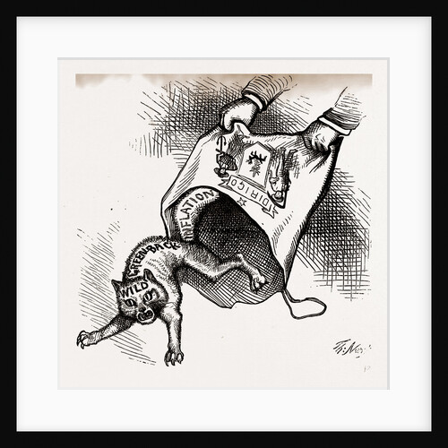 Main(e) Prize. The Democrats Had To Let It Out, 1880, USA by Anonymous