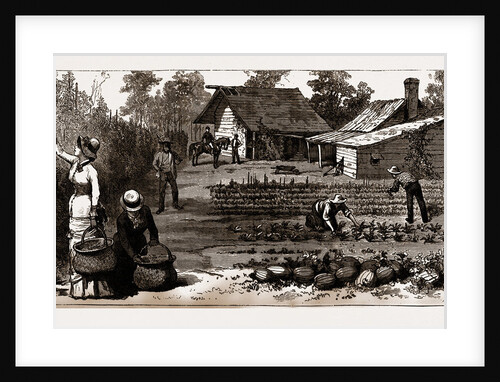 The English Garden, Scenes In Rugby, The English Colony In Tennesse, 1880, USA by Anonymous