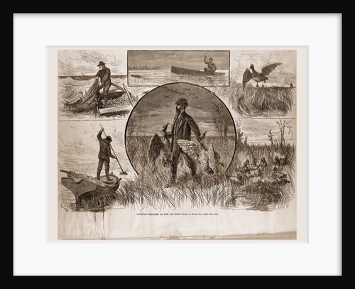 Cruelties Practiced On Fish And Fowl, 1880 by Anonymous