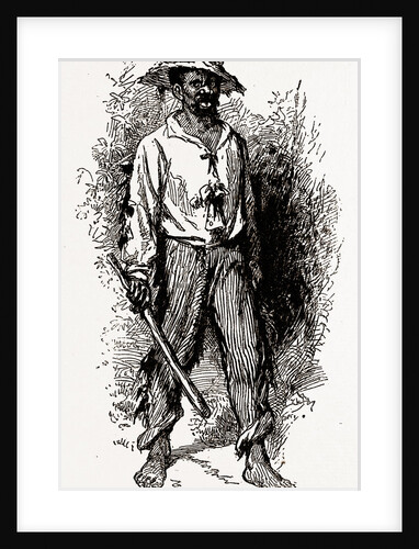 Georgia, A Greene County African-american, 1880 by Anonymous