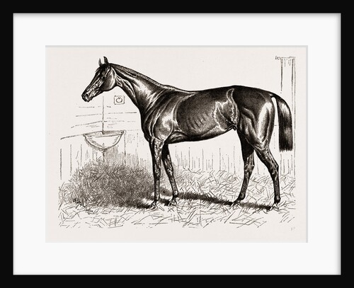 An American Racer in England-mr. Keene's foxhall, Winner of the Bretby Nursery Plate by H. Stull