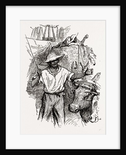 Georgia, African-american Drivers, 1880 by Anonymous