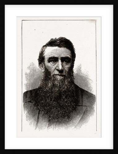 The Hon. D. H. Jerome, Governor-elect of Michigan by Anonymous