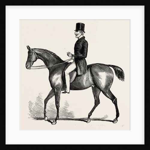 The Duke of Wellington in 1842 by Anonymous