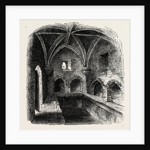 Henry VIII.'s Conduit by Anonymous