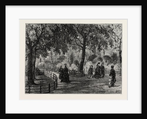 The Flower Walks, Kensington Gardens by Anonymous