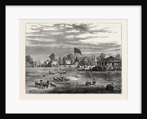 Lord's Ground in 1837 by Anonymous