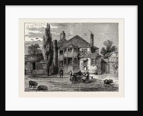The queen's Head And Artichoke by Anonymous