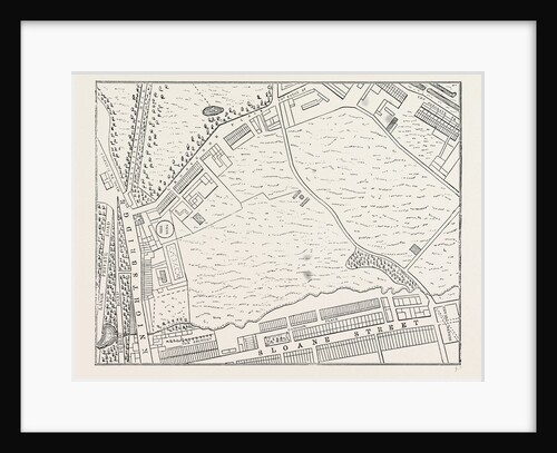 Map of Belgravia, 1814 by Anonymous