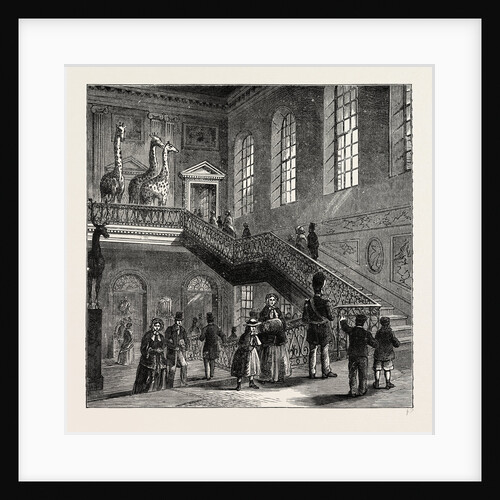 Montagu House, Grand Staircase, 1830 by Anonymous
