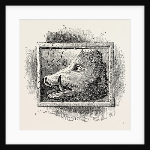 Old Sign of the boar's Head by Anonymous