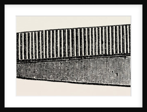 Stout dissecting forceps by Anonymous