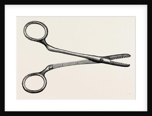 Spencer wells's artery forceps by Anonymous