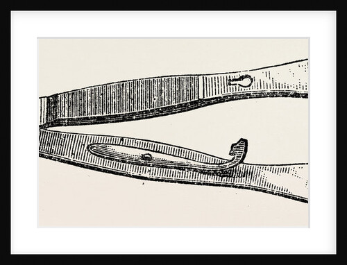 Wakley's artery forceps by Anonymous