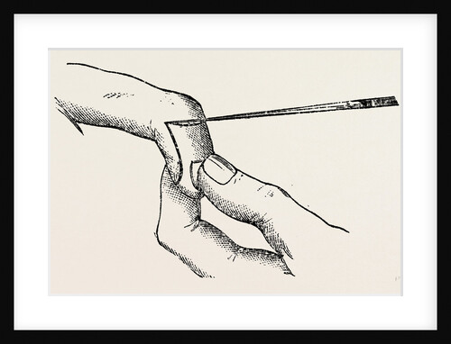 Four inches long by Anonymous