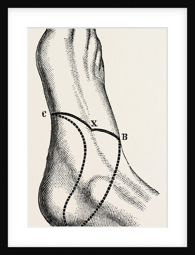 Inner and outer sides of the right foot by Anonymous
