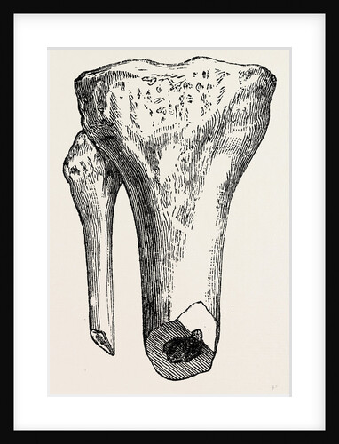 Method of method of sawing by Anonymous