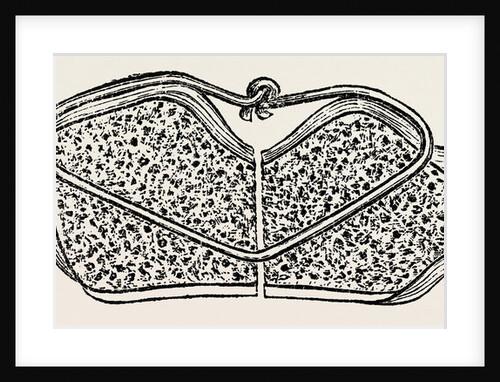 Fragments in apposition, the wire knot hammered flat by Anonymous