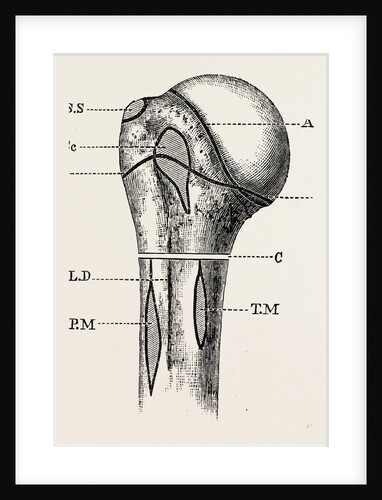 Diagram by Anonymous