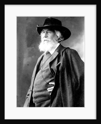 Prof. Haeckel by Ernst Haeckel