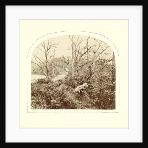 An Autumn Landscape by Anonymous