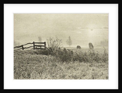 Meadow Landscape by Peter Henry Emerson