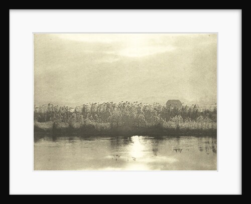 Water with cornfield by Peter Henry Emerson