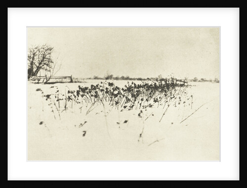 Snowy Landscape by Peter Henry Emerson