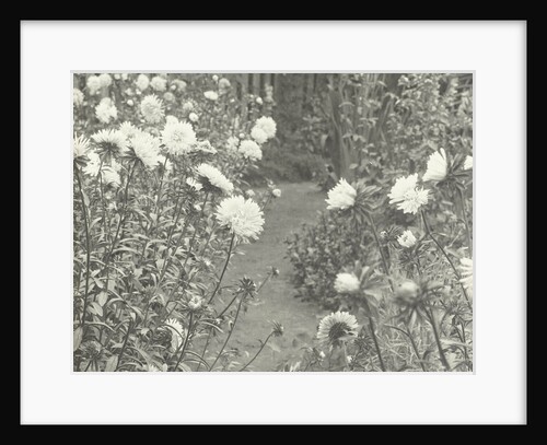 View of a garden with flowers by William B. Post