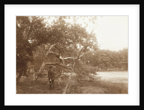 Face in the Meijendel near Wassenaar and The Hague by Anonymous