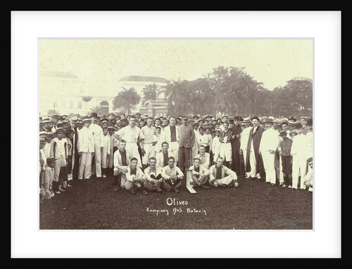 Oliveo Champion Batavia 1905, Indonesia by Busenbender & Co.